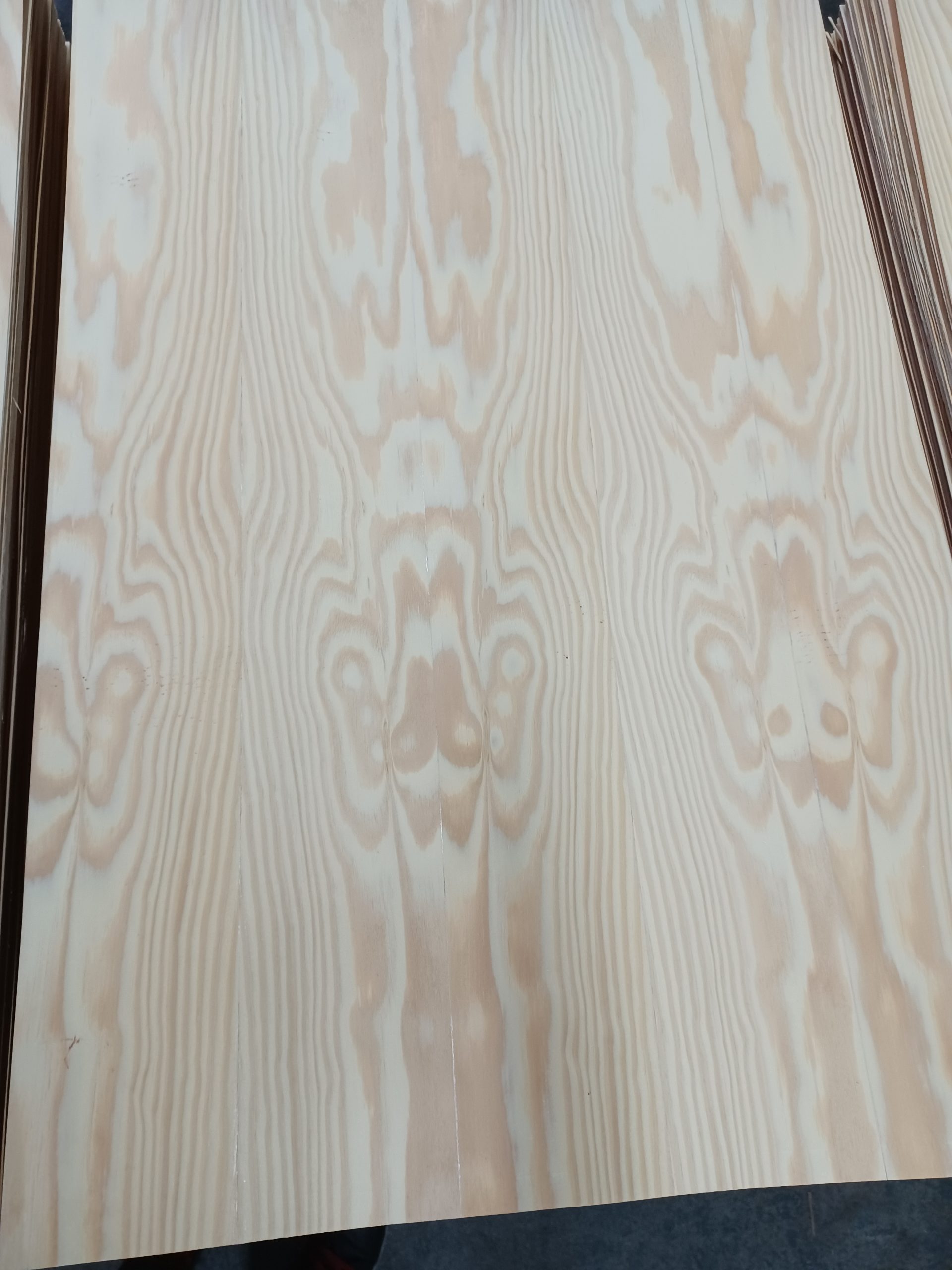 Brazilian pine thick veneers panel